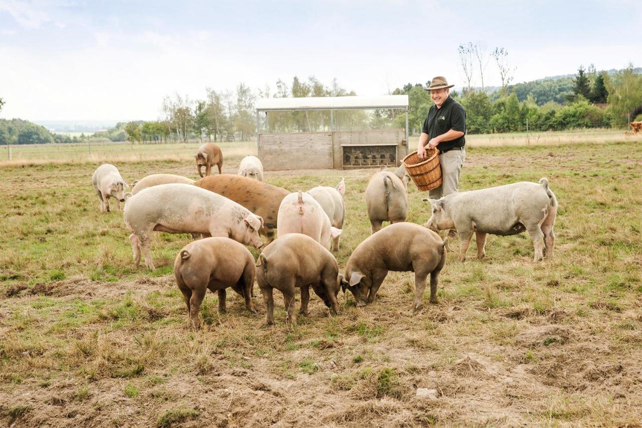 Landgasthof Zur Tanne Waltershausen Buitenkant foto